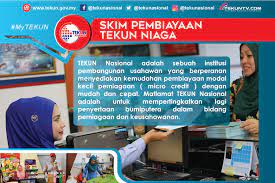 Tekun mobilepreneur 1.0 ialah skim pembiayaan baik pulih motosikal dan modal pusingan dengan had pembiayaan adalah sehingga rm2,000. Skim Pembiayaan Tekun Niaga Institut Keusahawanan Negara Facebook