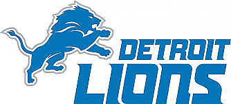 2 Detroit Lions Vs Minnesota Vikings Hard Tickets 11 23