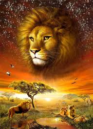 3 Wild Life Art 3 Animals Lions Lion Pictures