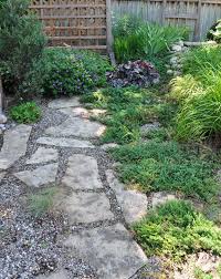 Try This Along Edges Of Gravel Garden To Soften The Look No Grass Backyard Front Yard Landscaping Pea Gravel Patio