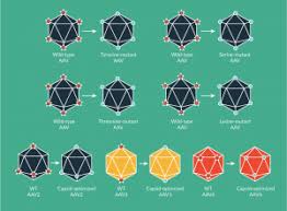 Image result for Blue 1997 AAV