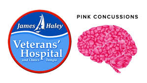 Download Pink 6 Pink Concussions