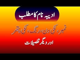 Adeeba Name Meaning In Urdu Adeeba Naam Ka Matlab ادیبہ نام کا مطلب Names With Meaning Names Meant To Be