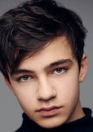 Bryce gheisar is an american actor, best known for his leading roles as young ethan in a dog's purpose and julian in wonder. Bryce Gheisar Tvmaze