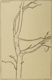 Der Baum Test Paint It