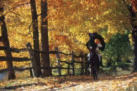 The first form of the gothic story was written by author washington. Discover Sleepy Hollow Ny Sleepy Hollow Ny