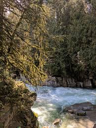 During such levels, the falls become a long, flat, white fluffy flume. Eagle Falls Washington Steemit