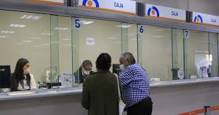 Formulario de solicitud y condiciones. Desfase En Registro De Hogares Afecto A Postulaciones A Bono Covid