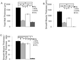 Information about smooth muscles diagram. Bar Graphs Showing Smooth Muscle Thickness And Ratio Fo Open I