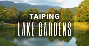 So how then did it not bloom into a huge metropolis like kuala lumpur or penang? Taiping Lake Gardens Other Must See Taiping Attractions Ipoh 2021