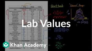 Introduction To Lab Values And Normal Ranges Health Medicine Khan Academy