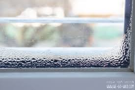 Schritt für schritt mit material innen dampfdiffusionsdichter als außen. Kondenswasser Fenster Das Kannst Du Dagegen Tun We Go Wild