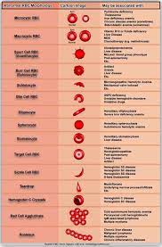 Pin On Education People