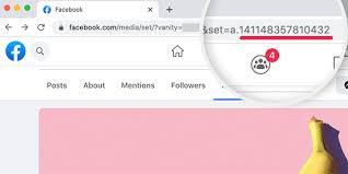 Select a new audience (friends or only me). How To Embed Facebook Albums In Wordpress How To Updated