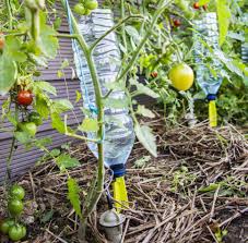Arrosage goutte a goutte fait maison. Systeme Goutte A Goutte Balcon