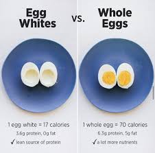 15 unexpected things you can do with eggs. Breaking Down The Egg Meowmeix