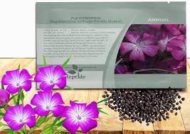 Image result for Agrostemma