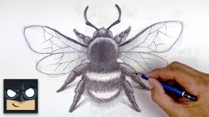We did not find results for: How To Draw A Bumble Bee Sketch Sunday Step By Step Youtube