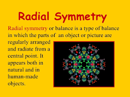 To the left you'll see another example of it in art, notice how it follows the definition with its circular composition in which the design extends outward from the center. Artwork Definition Of Balance In Art Defitioni