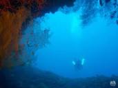 Dive sites on Tablas Island, Romblon Province, Philippines - First ...