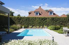 zwembad in mooie tuin omgeven door bloemenpracht buitenzwembad kostprijs aanvragen de mooiste zwembaden garden pool dream backyard dream pools