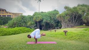 Check spelling or type a new query. Blog Barberyn Ayurveda Resorts Barberyn Ayurveda Resorts