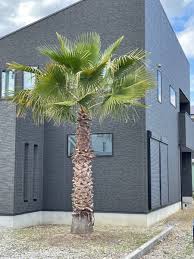 悪用厳禁ディープフェイク作成ソフト 初心者向け日本語版 フェイクポルノ アイコラ その他