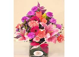 We did not find results for: A30 Happy Anniversary Flowers Sophia Flowers Templestowe Lower Florist Vic 3107