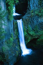 Check spelling or type a new query. File Toketee Falls Jpg Wikipedia