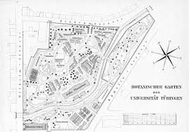 This category contains only the following page. Alter Botanischer Garten Tubingen Wikipedia