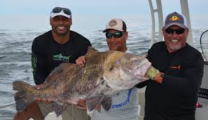 Check spelling or type a new query. Deep Sea Fishing Charters Book Best Fishing Charter In Florida
