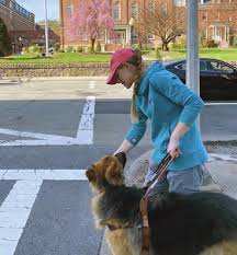 Image result for Lorenda Green 1929 Dodge