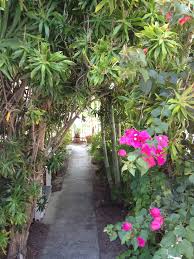 The Artist House On Fleming Key West Key West Beach House Florida Plants Key West Vacations