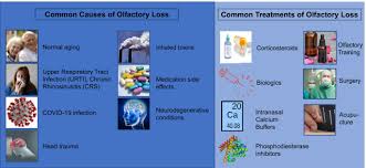 Image result for Drug-Induced Olfactory Dysfunction