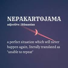 Word Definition Nepakartojama Lithuanian Unique Words Unusual Words Words
