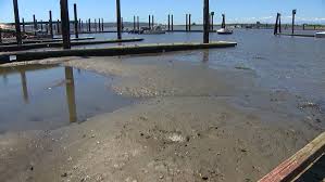 Puget Sounds Lowest Tides Of The Year Are Causing Headaches