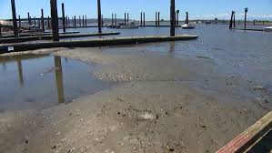 puget sounds lowest tides of the year are causing headaches