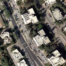 Image result for Cenchrus geniculatus