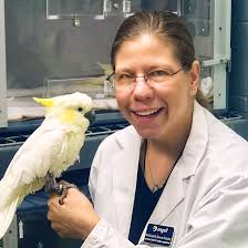 Scales & tails exotic pet clinic. Advanced Diagnostic Imaging In Pet Birds And Exotic Pets Mspca Angell