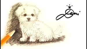 Wie Zeichnet Man Einen Hund Malteser Mit Bleistift How To Scribble A Dog Risunka S Moliv Na Kuche Youtube