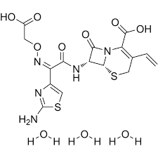Image result for Cefixime