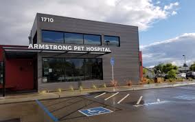 Check spelling or type a new query. Clovis Veterinary Armstrong Pet Hospital Clovis Fresno 93611