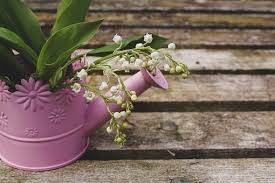 Последние твиты от muguet (@muguetzzle). About The French Tradition Of Giving Muguet On 1st May