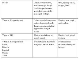 Pola hidup sehat nama : Materi Pjok Kelas 7 Pola Makan Sehat Portal Edukasi