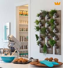 Verse Kruiden Aan De Muur Www Witzand Nl Kruidentuin Binnen Binnentuin Keukenkruiden