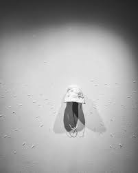 Jill Garcia & Kim Phu (@muthagoose.art) • Instagram photos and videos