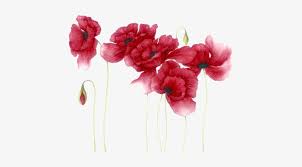 Watercolor flowers png free download. Red Watercolor Flowers Png Transparent Png 447x373 Free Download On Nicepng