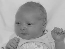 FBI finds part of AK-47 thought used in shooting