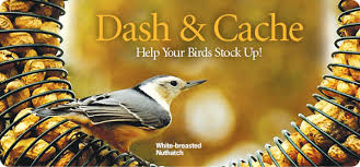 wild birds unlimited nature shop