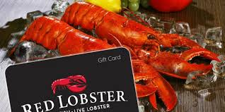 What are red lobster gift cards? Red Lobster Gift Card 2020 Let S Dive Into Delicious Sea Foods